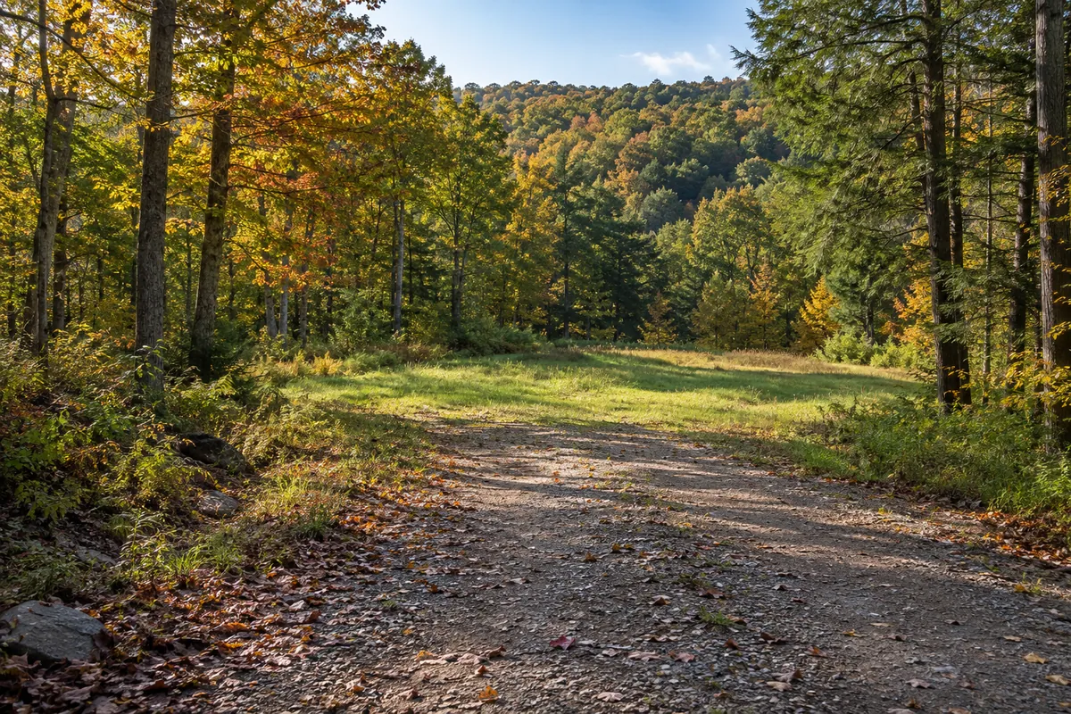 A gravel entrance opens onto a grassy clearing below autumn woods in northwestern Pennsylvania