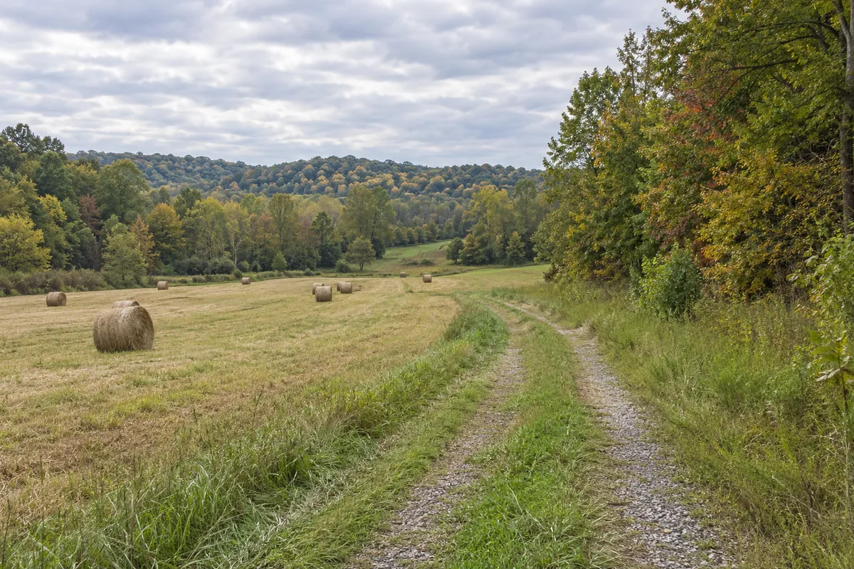 Farm track between an open field and mixed woodland