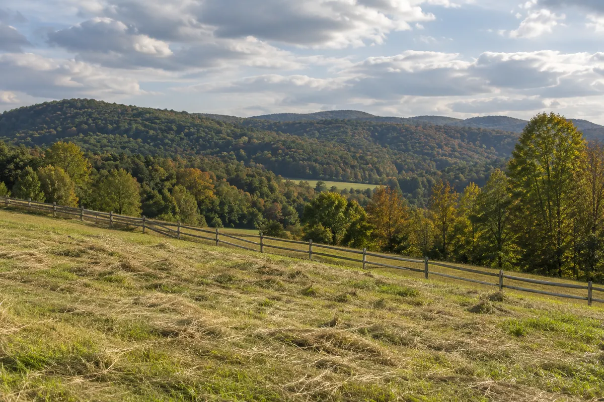 A hay meadow and split-rail fence overlooking wooded ridges