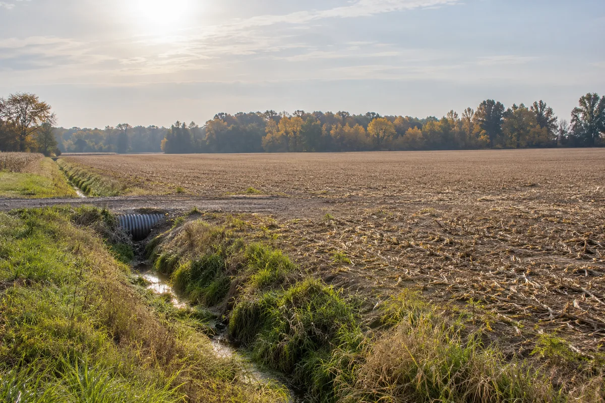 Harvested Indiana field beside a grassy ditch and road culvert