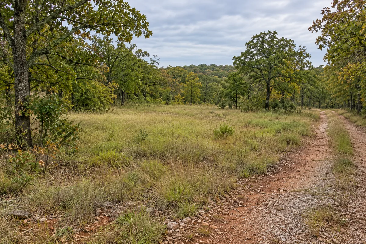A reddish gravel entrance beside a grassy clearing bordered by oak woodland