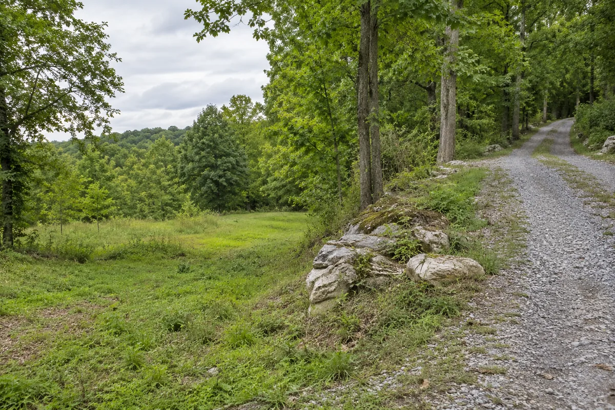 A gravel lane and pale rocks beside a grassy clearing in leafy woodland