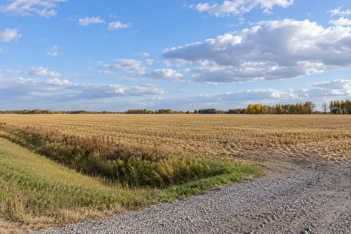Harvested field beside a gravel approach and grassy ditch