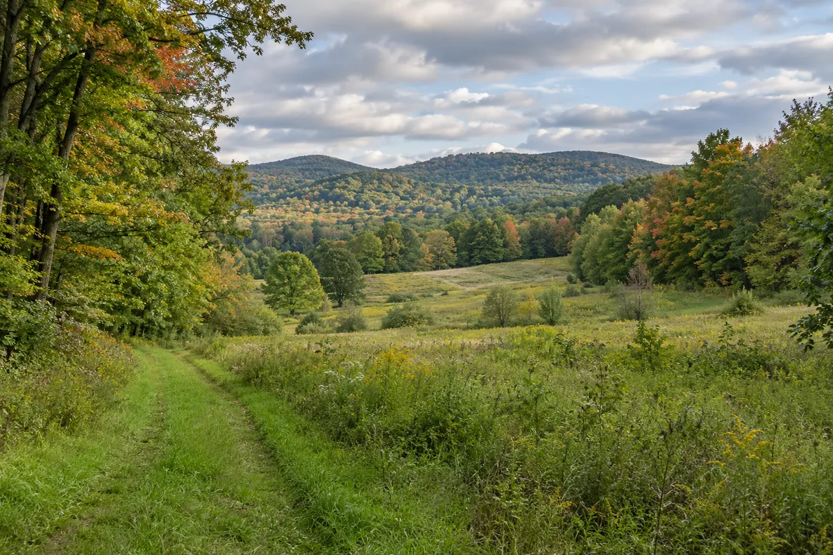 Grassy track along a meadow beneath wooded hills