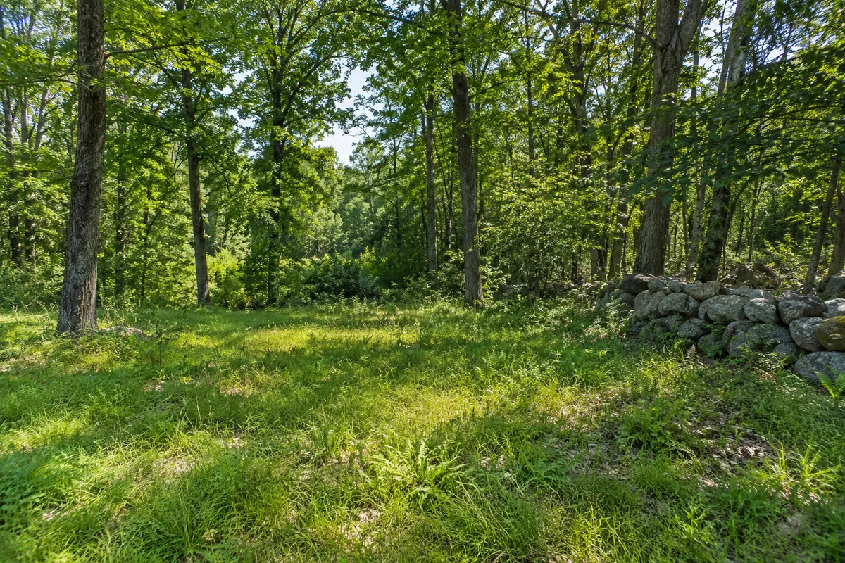 A grassy opening beside leafy woods and a low stone wall