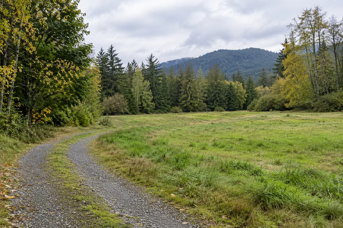 Gravel entrance beside a grassy clearing with evergreen trees and a wooded ridge