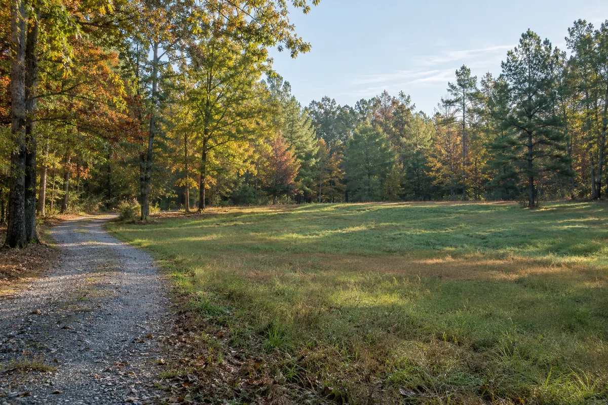 A gravel track curves beside a grassy clearing and Virginia pine and hardwood woods