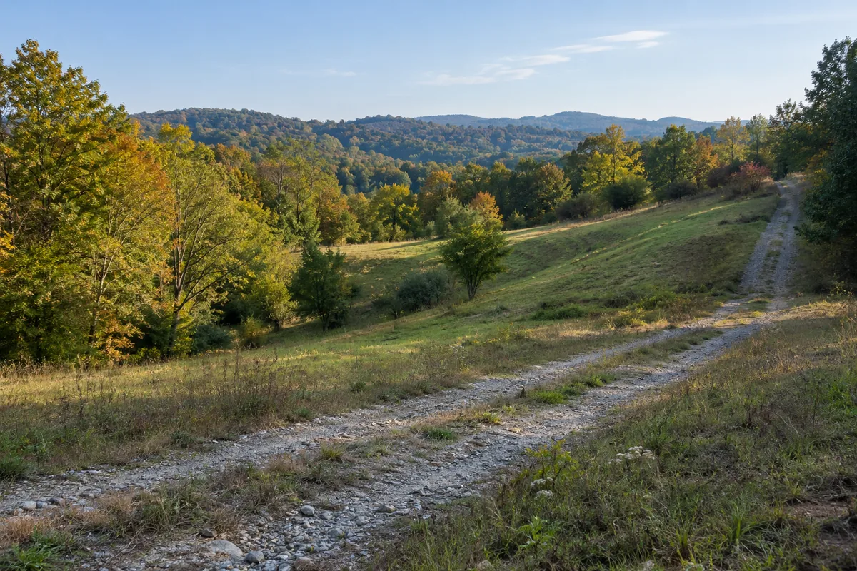 A gravel track climbs past an uneven grassy opening toward a low wooded ridge