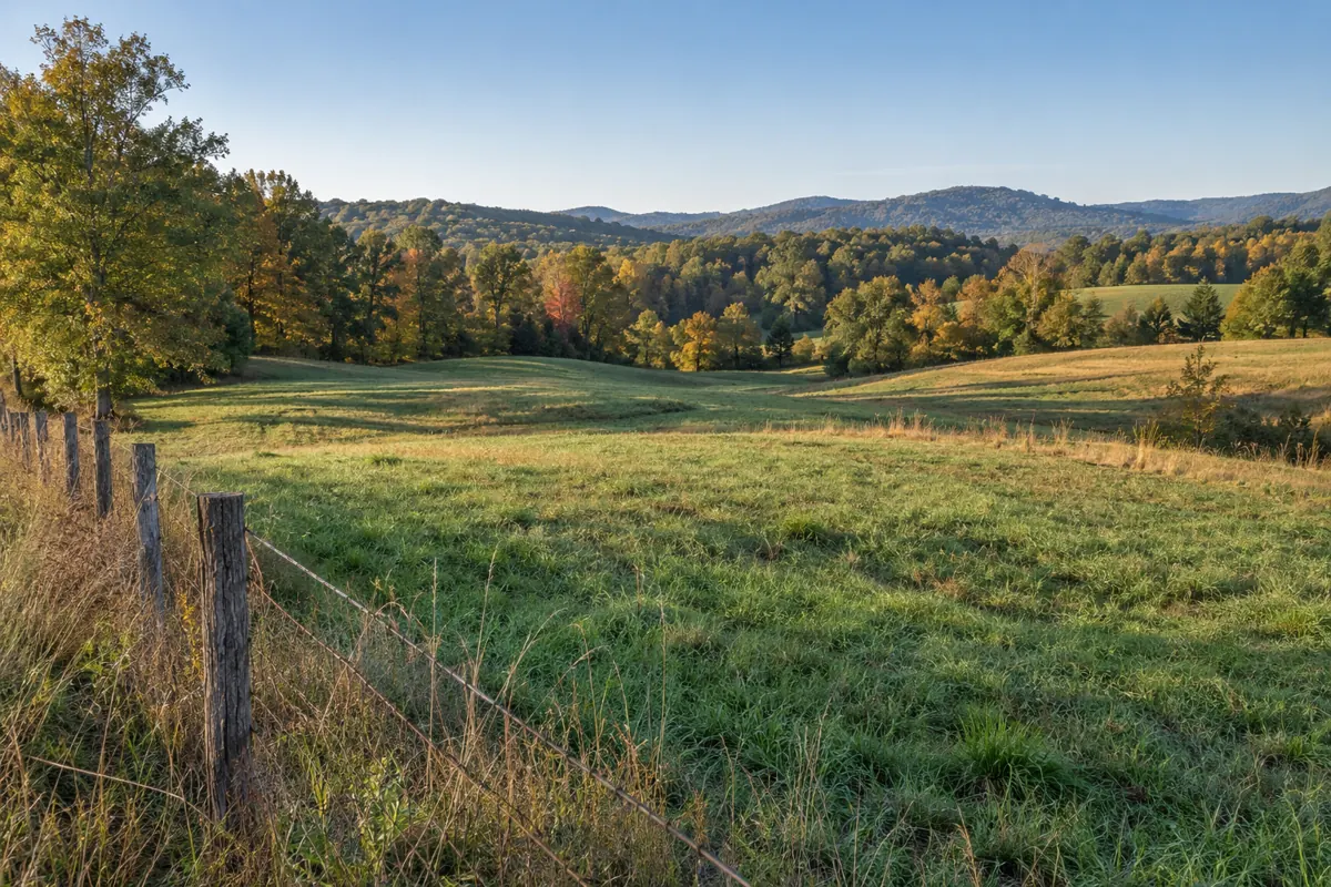 Rolling pasture beside a wire fence and wooded hills