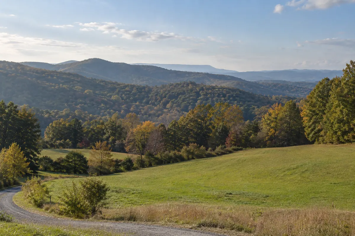 A grassy clearing surrounded by hardwood-covered hills
