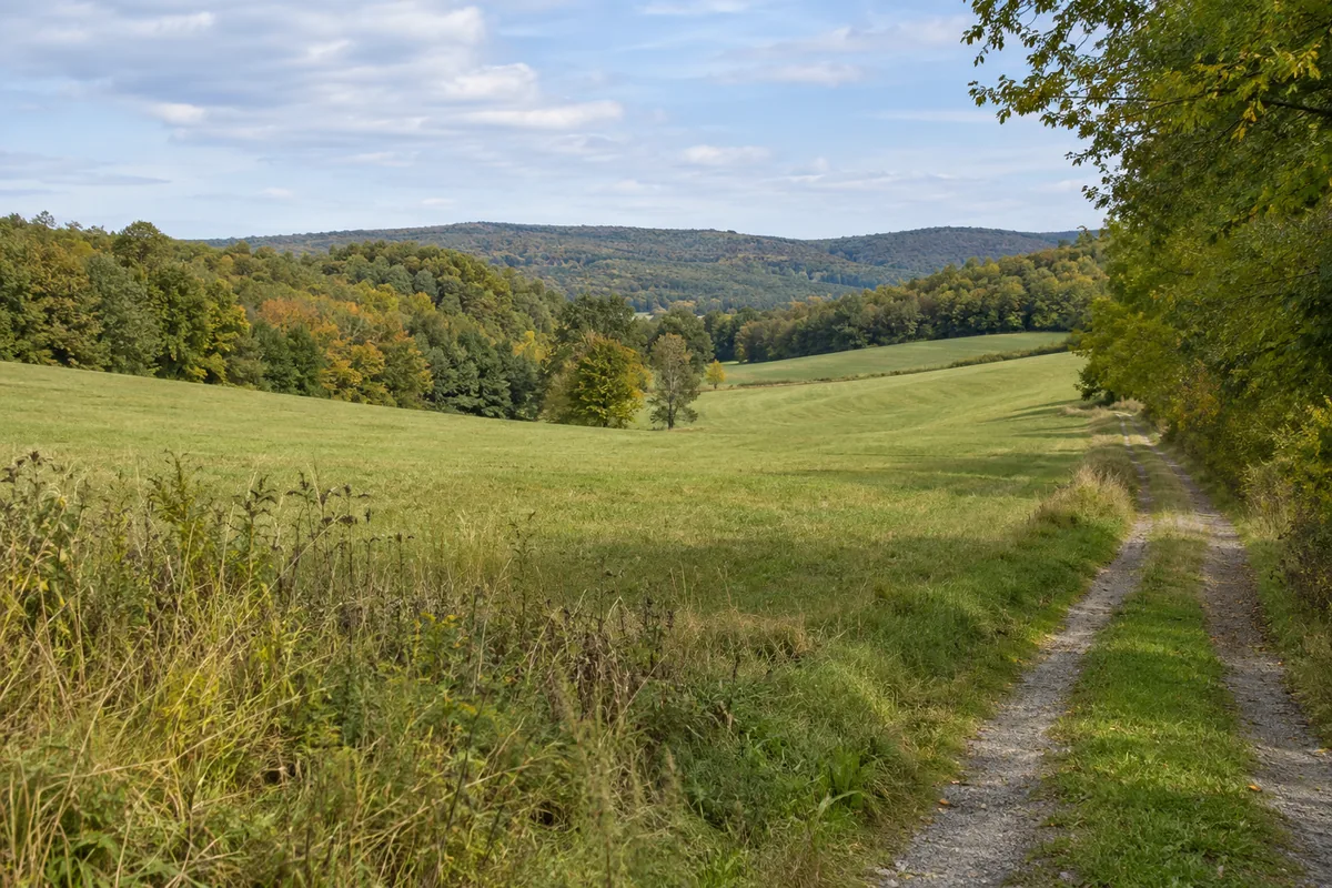 A rural track follows a rolling hayfield with wooded hills beyond