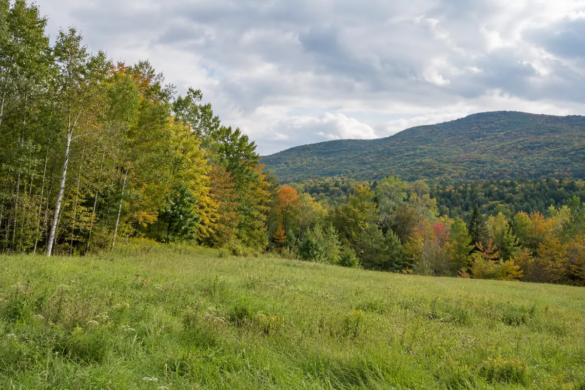 A meadow beside maple woods and a distant rounded ridge