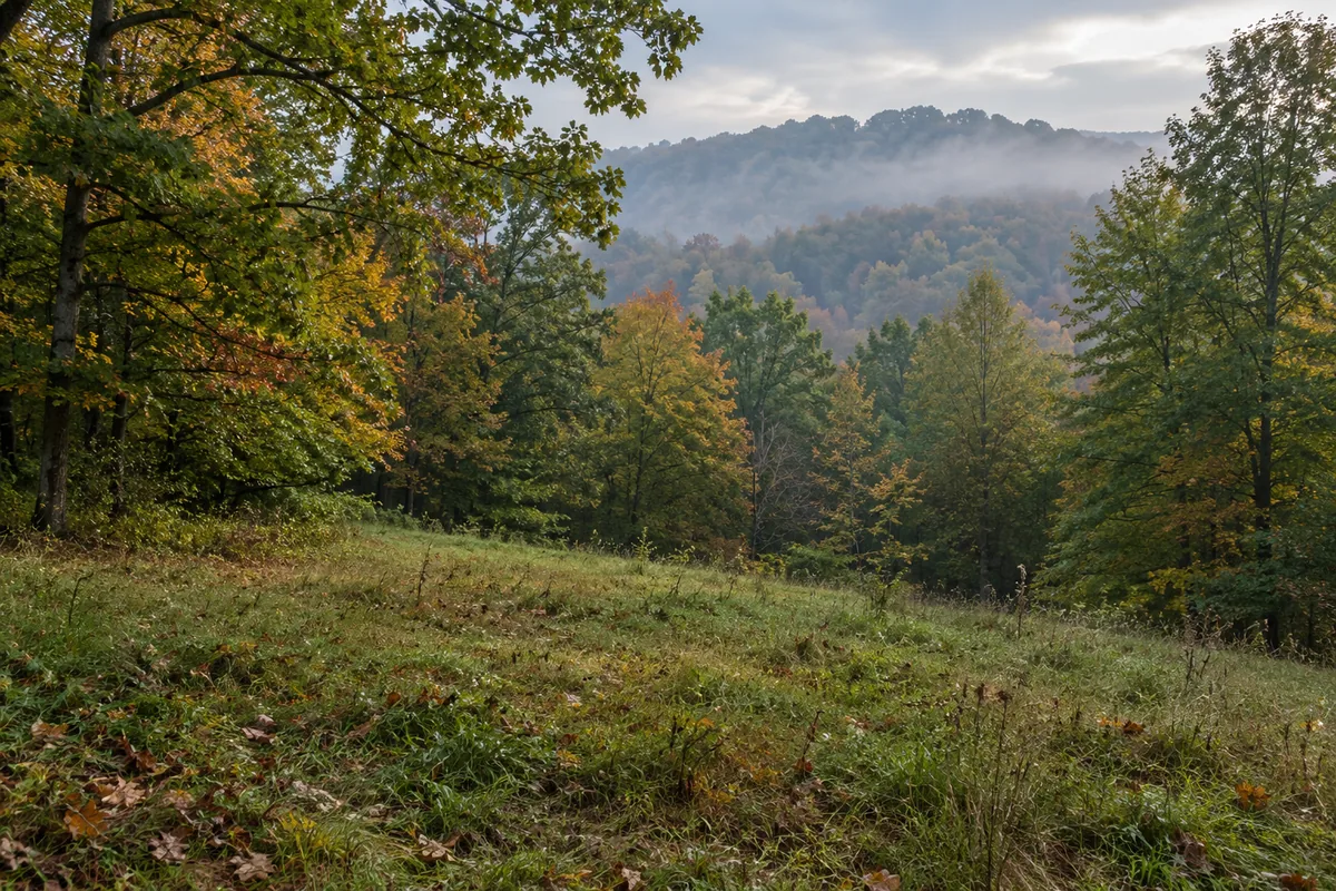 A grassy clearing framed by autumn woods with a misty wooded hill beyond