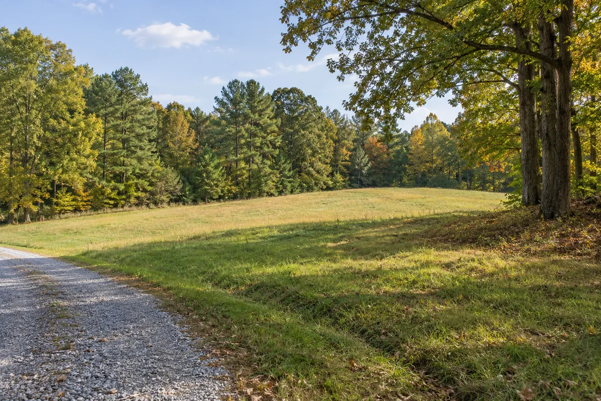 A gravel drive beside a Piedmont meadow bordered by pine and hardwood trees