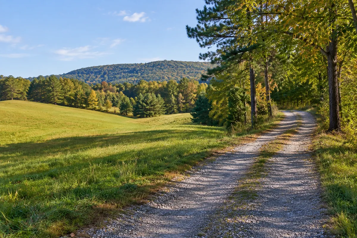 Gravel lane beside a northwest Georgia meadow with pine and hardwood trees and a low wooded ridge