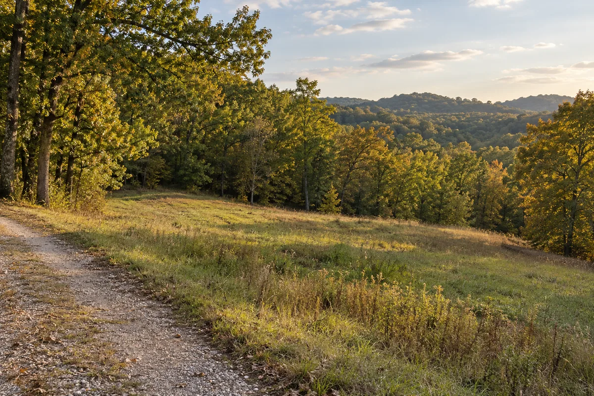 Gravel lane beside a grassy clearing and rolling oak woods