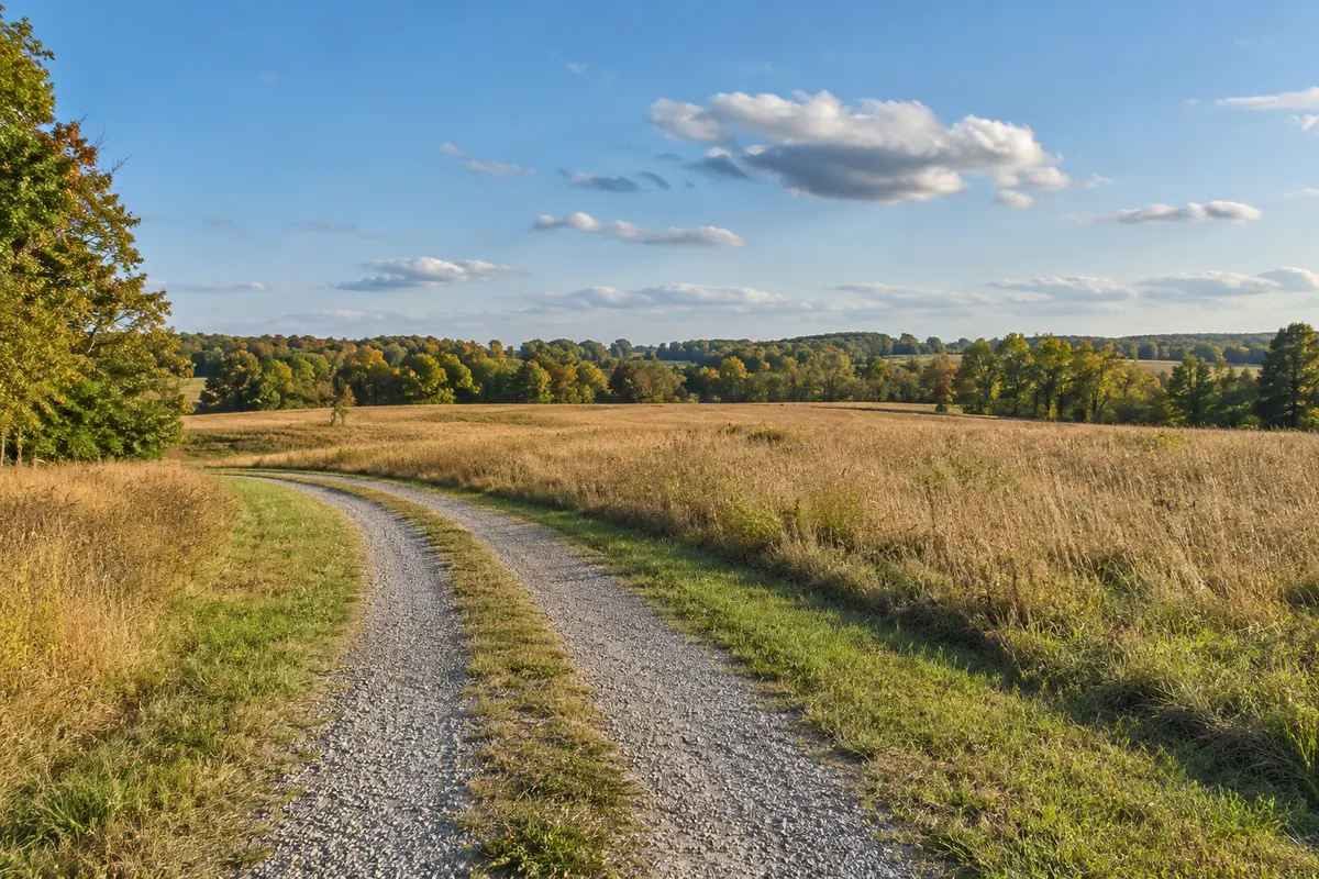 A gravel approach beside an open field and trees in western Tennessee