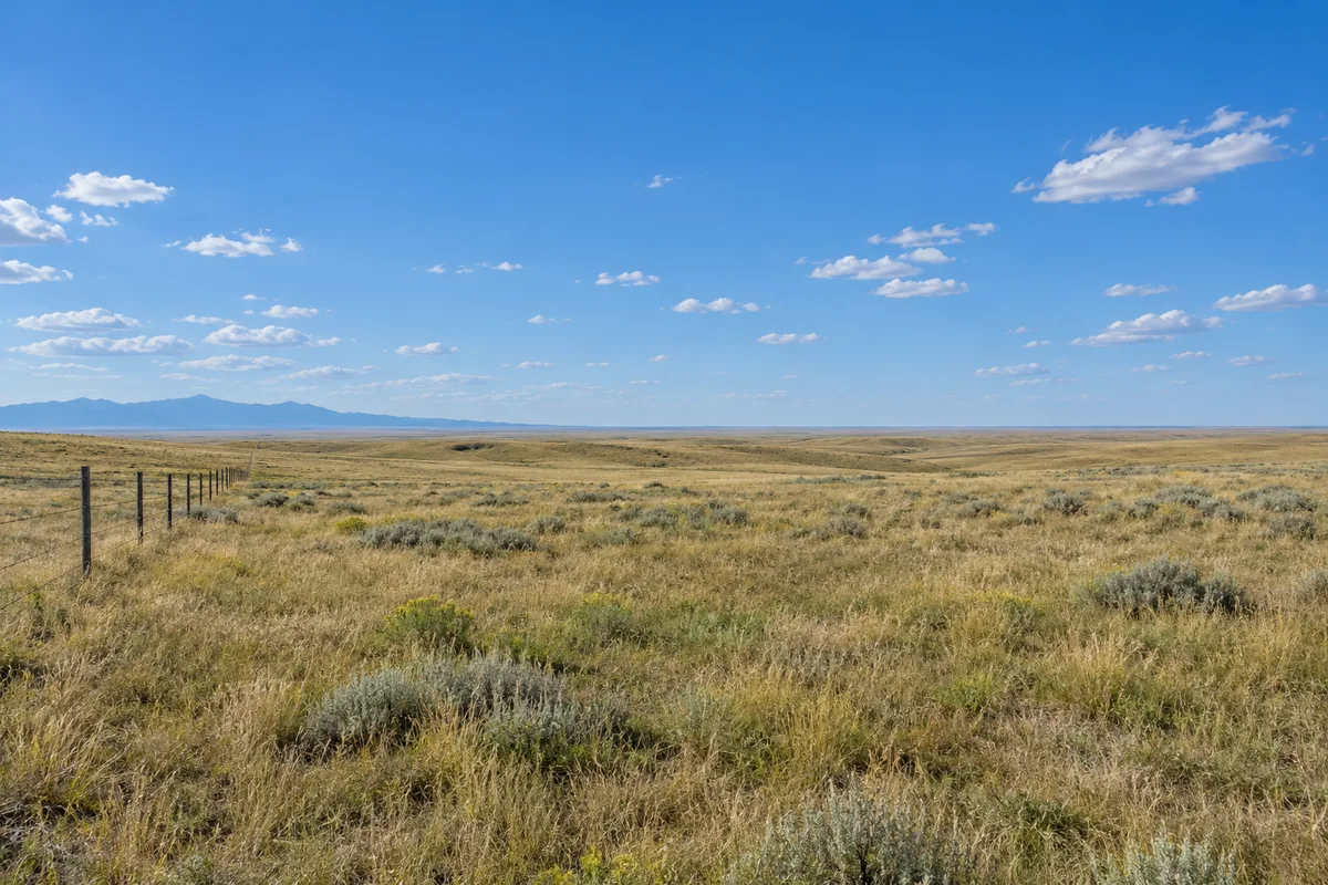 Open shortgrass pasture stretches toward a distant blue mountain horizon under scattered clouds