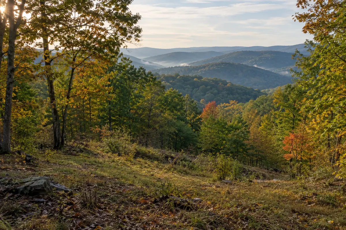 An opening in autumn woods overlooks distant Appalachian ridges