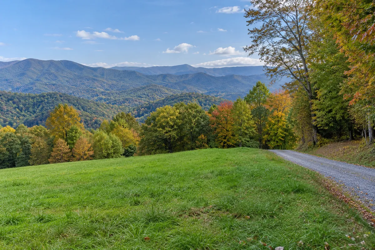Grassy clearing beside a gravel drive with wooded Blue Ridge mountain slopes in western North Carolina