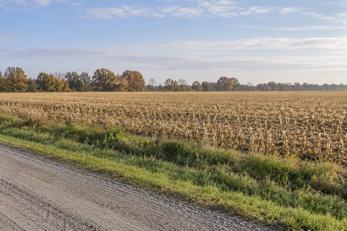 A level harvested field beside a grassy drainage swale and a low autumn tree line
