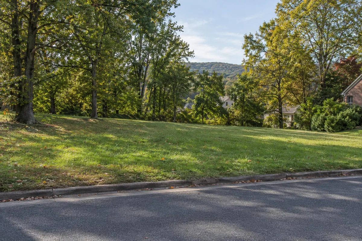 Grassy vacant lot beside a quiet street with trees and homes beyond