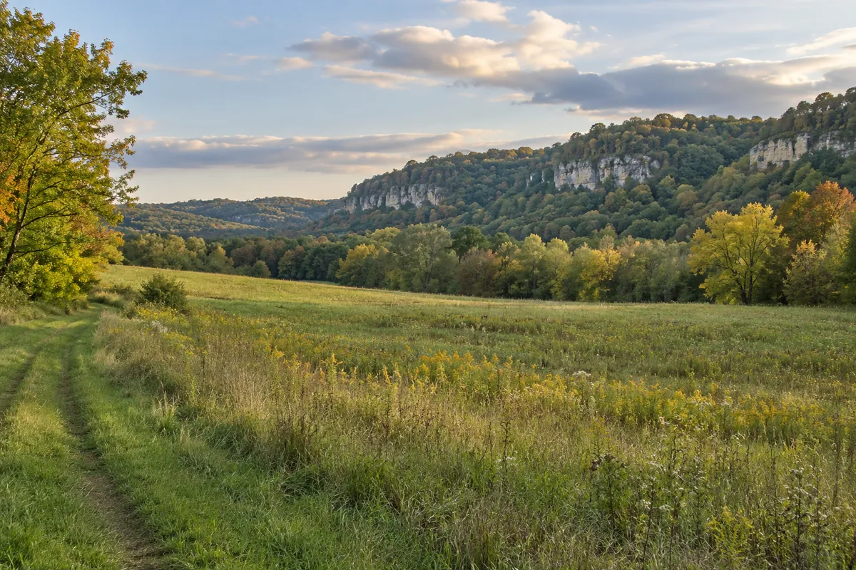 Southeastern Minnesota meadow below wooded limestone bluff ridges