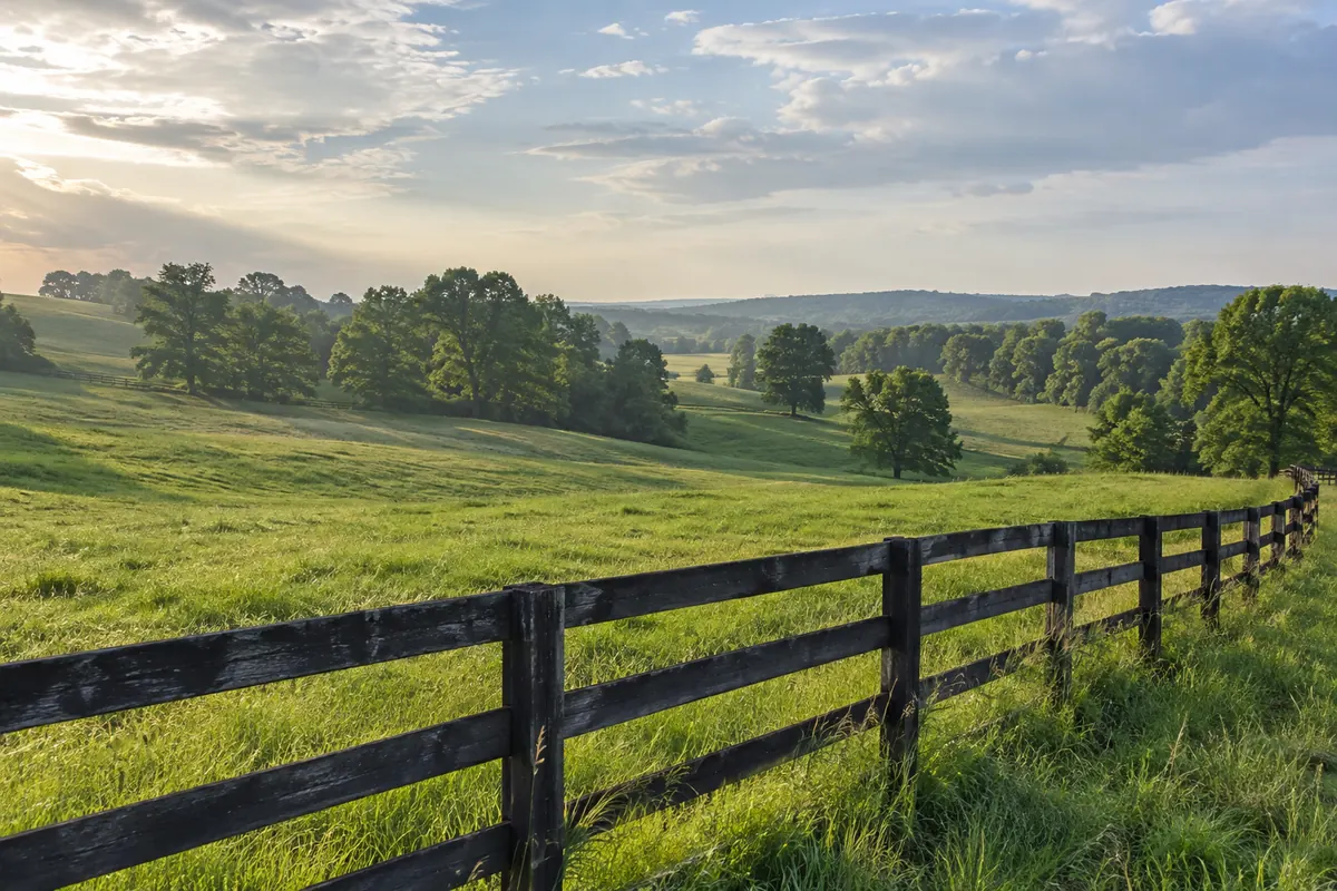 Wooden fence beside a grassy pasture and scattered trees