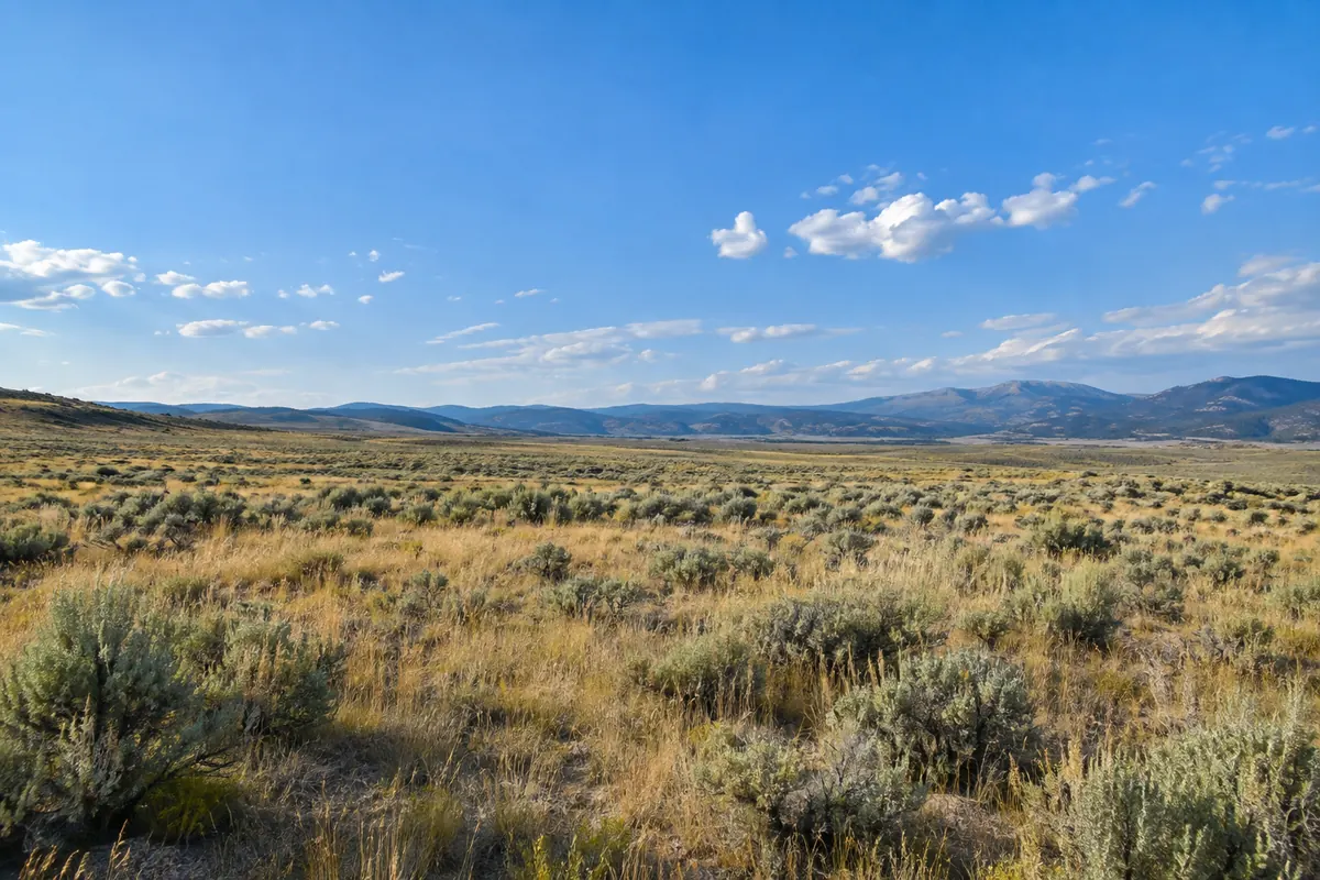Open sagebrush land below distant dry hills
